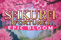 Sakura Fortune Epic Bloom