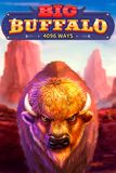 Big Buffalo